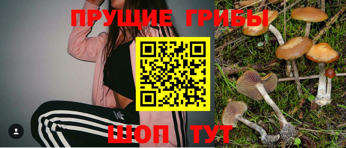 цена наркотик  Псилоцибиновые грибы Psilocybe  Вход с VPN  Набережные Челны 
