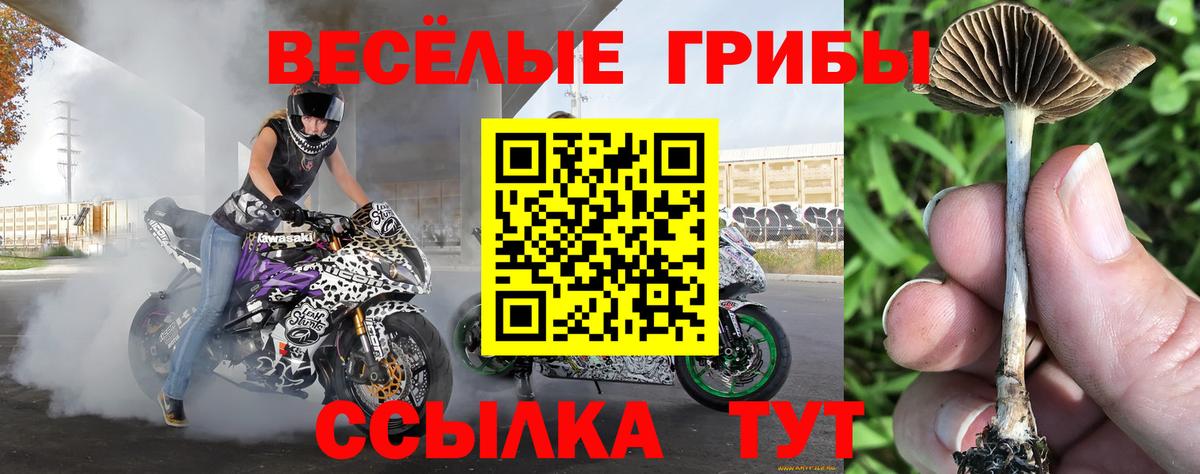 Псилоцибиновые грибы ЛСД Набережные Челны